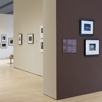 Various artists, Muscle memory: lens on the body, exhibition view. Courtesy of Phoenix Art Museum