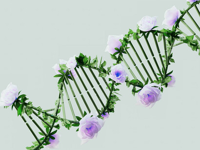 Le sentiment de ne pas avoir de droits conduit à des revendications incessantes pour combler le vide perçu entre le mérite et la reconnaissance