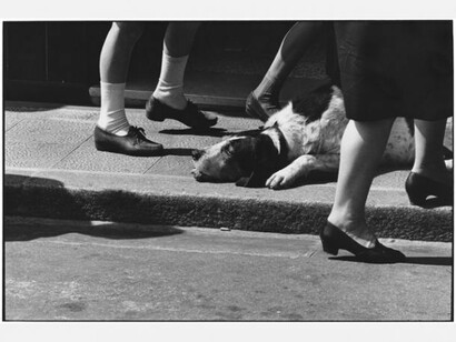Elliott Erwitt, France, Honfleur, 1968, © Elliott Erwitt/Magnum Photos