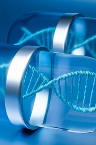 By common sense, viruses are associated with diseases. Researchers from the University of Toronto confirmed that viruses can help hinder the production of prion proteins