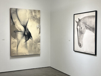 Various artists, Color blind, exhibition view. Courtesy of Winston Wächter Fine Art