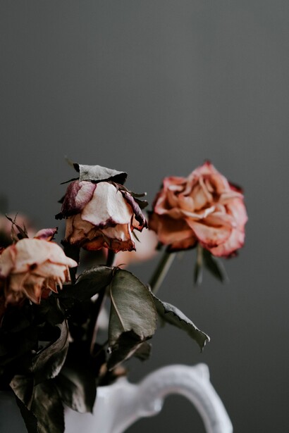 Pero se abrirán (algún día) las grandes alamedas...