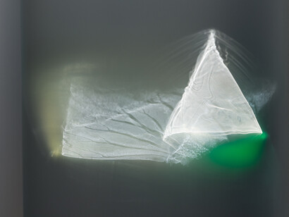 Helen Pashgian. Untitled. Formed acrylic. © Helen Pashgian. Photography by Josh Morton.