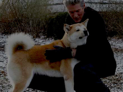 Il protagonista di Hachiko ha un cane di razza Akita che cura e ama come se fosse un figlio
