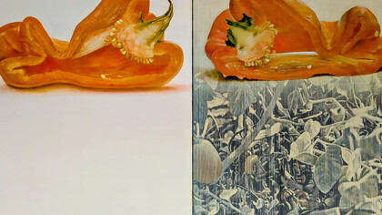 Rafael Luis Armengol Machí "Pebrot partit" (Catalan for "Split Pepper") (1985) by the Oil on canvas, presented as a diptych (two panels). 162 x 260 cm (approximately 63.8 x 102.4 inches). Contemporary art collection at the Museo de Arte Contemporaneo de Alicante (MACA) in Alicante, Spain