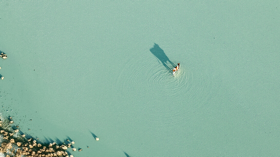 Zack Seckler. Courtesy of ClampArt