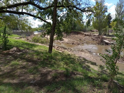 El retraso en la respuesta oficial plantea dudas sobre la efectividad del gobierno de Milei ante emergencias. Aunque se comprometieron a colaborar, la lentitud en la ayuda se ha vuelto un tema de discusión.  Consecuencias de la lluvia torrencial del 7 de Marzo de 2025 en Bahía Blanca, Argentina