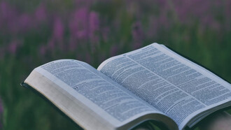 Elegirlo, abrirlo y leerlo. Un libro lo puede todo