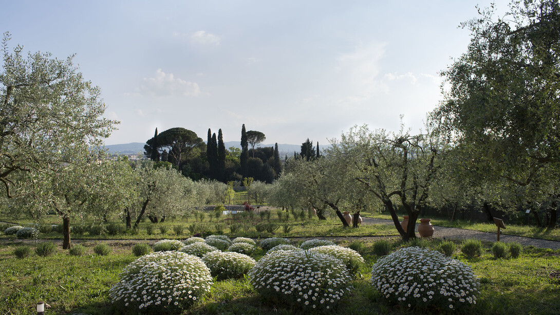 Il giardino di Santa Maria Novella