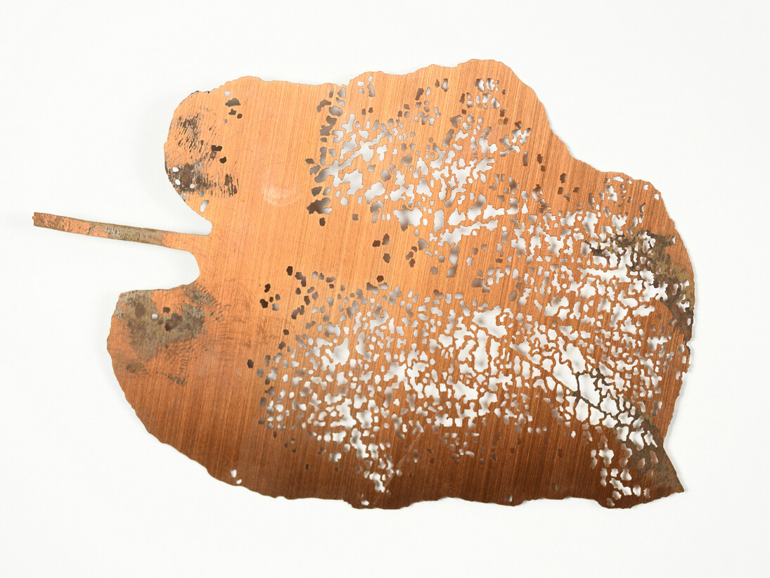 Shelagh  Wakely, cloud forest leaf, 2005, Etched copper, 12 x 8 cm © Shelagh Wakely. Courtesy Richard
Saltoun Gallery and Shapero Modern
