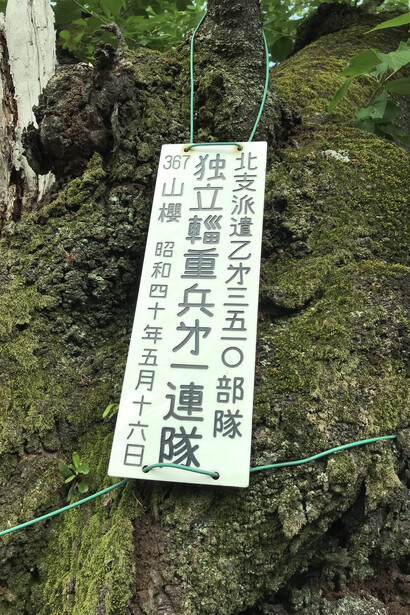 Testimonios en honor a los fallecidos en las guerras en el santuario de Yasukuni, Japón