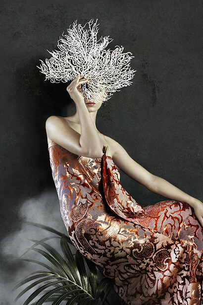 Vee Speers, Phoenix: o renascimento de uma nova identidade