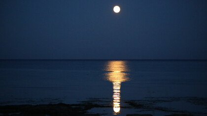 The full moon reflecting on the waters of the sea/ocean