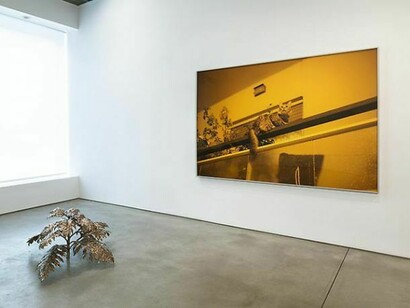 David Hartt, Installation Views