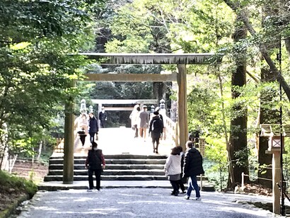 Ise Jingu Inner Shrine tori gates © Alma Reyes