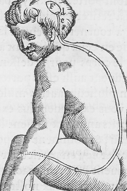 Ilustración acerca de la acción del fuego en el cuerpo, "Tratado del Hombre" de René Descartes, 1729