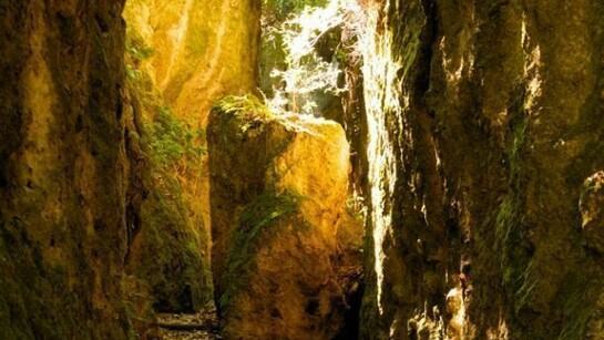 Monterano's environment has some kind of magic