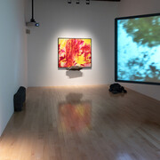 Flash, focus de Arte Contemporáneo en Puebla, vista de exhibición. Cortesía del Museo Amparo