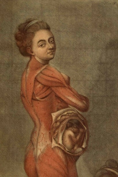 Painting of a pregnant woman, XIX century