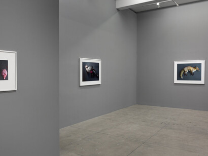 Thomas Struth. Courtesy of Marian Goodman Gallery