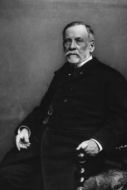 Louis Pasteur fue el primero en establecer una conexión definitiva entre los microorganismos y la aparición de enfermedades