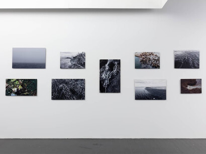 Deborah Jack, La posesión de estuarios… una secuela de confluencia, vista de exhibición. Cortesía del MCA Denver