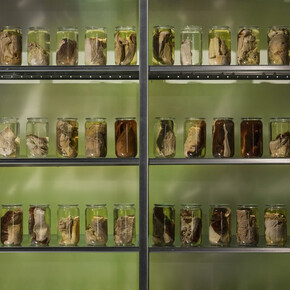 No Man is an Island. Courtesy of ARoS Aarhus Art Museum