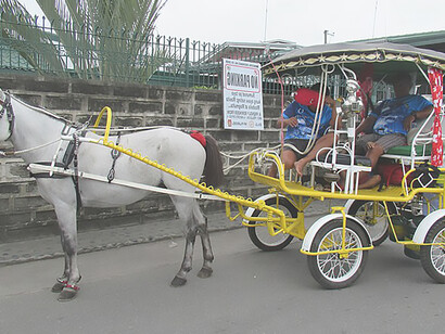 The Santiago Apostol de Quingua Salubong Festival 2022 in Plaridel celebrated with a procession, a lively Salubong, and a Horse Festival, showcasing the iconic kalesas, enriching the cultural tapestry of the Philippines