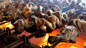 Scopri l'autentico asado argentino: una deliziosa tradizione culinaria cotta alla brace che risale ai gauchos della Pampa. Perfetto per le tue grigliate estive!