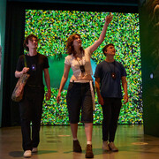 The man who planted trees: an immersive tale, exhibition view. Courtesy of Canadian Museum of Nature