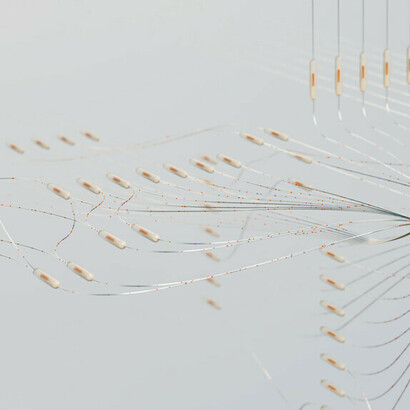 Al conectar saberes ancestrales con ciencia contemporánea, la humanidad puede construir una red de dependencia armónica que sostenga su futuro