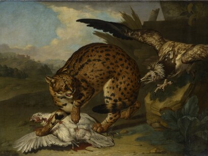 Philipp Ferdinand de Hamilton, Leopardo e avvoltoio, Datato 1722, Olio su tela, 88 cm x 120 cm, Kunsthistorisches Museum Vienna, Pinacoteca, Courtesy KHM-Museumsverband