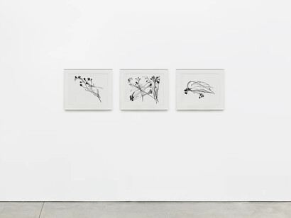 Donald Sultan, Flowers, exhibition view. Courtesy of Mary Ryan Gallery