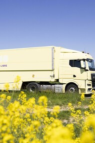 Cinemo est un fournisseur mondial de produits hautement innovants. Il propose des expériences multimédias numériques multi-écrans et multi-passagers pour l'automobile, avec des jeux embarqués et des visioconférences