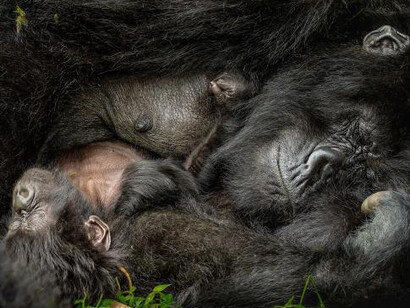 Nature’s Best Photography. Courtesy of Smithsonian's National Museum of Natural History