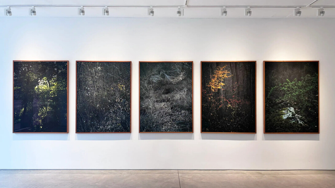 Edo Costantini, Solsticio de invierno: semillas de la nada, vista de exhibición. Cortesía de Praxis