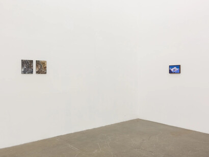 Various artists, Second nature, exhibition view. Courtesy of Ochi Gallery