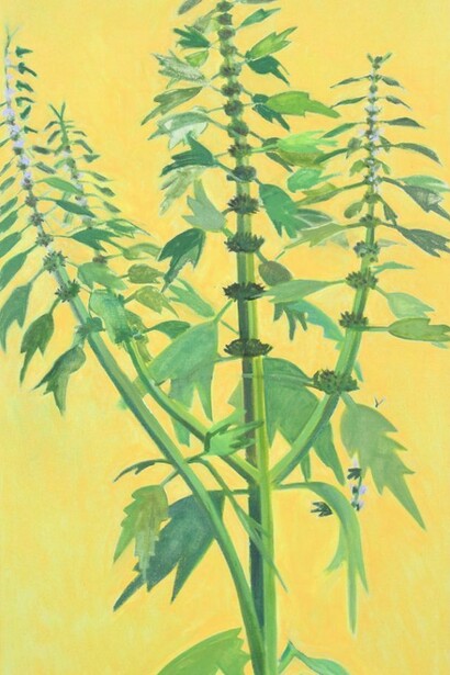Lois Dodd, Motherwort (detail), 2013, oil on linen, 42 x 20 inches © Lois Dodd, courtesy Alexandre Gallery, New York