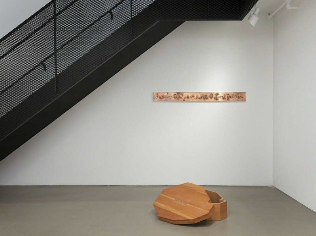 Want, Exhibition view. Courtesy of Alexander and Bonin