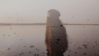 En una época saturada de imágenes y tendencias repetidas, la creatividad parece haberse sumergido en un silencio donde cada vez cuesta más encontrar una voz propia