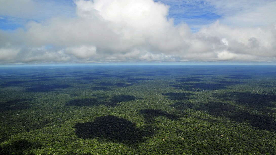 Amazônia