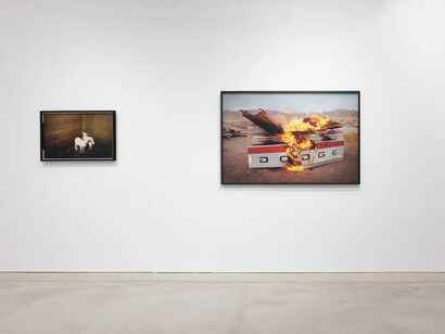Mike Brodie, New and selected works, exhibition view. Courtesy of Casemore Gallery