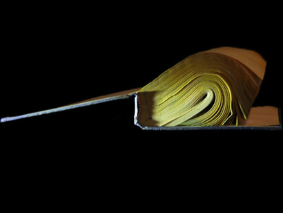 Richard Finkelstein. Courtesy of Robert Mann Gallery