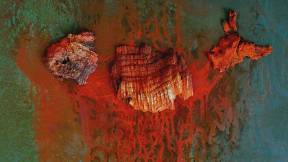 Silvia Canton, Mattanza, dettaglio, tecnica mista su tela più sughero, 50x50, 2019