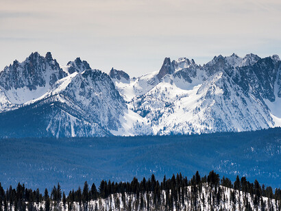 Matthew Barney. Courtesy of Yale University Art Gallery