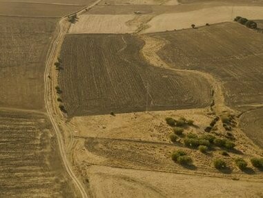 Vista aérea de plantação. Por conseguinte, nota-se que a ausência de conhecimento técnico bem como o acesso a informações atualizadas sobre práticas agrícolas impede o aumento da eficiência produtiva. A maioria dos agricultores utiliza ferramentas rudimentares, como enxadas e catanas, e poucos têm acesso a tratores ou máquinas agrícolas modernas