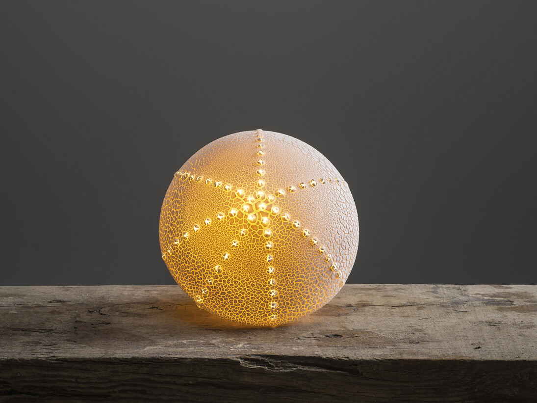 Amy Cooper, Sea urchin light
