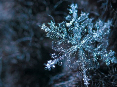 Fiocco di neve