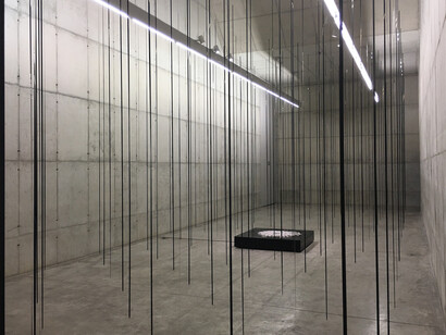 Zilvinas Kempinas, Vertical, vista da exposição