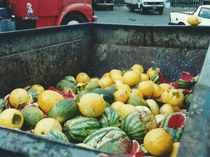 Contenedor de basura lleno de sandías y melones